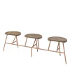 Billiani 1911 Benches<Puccio 716 Brown Bench by Emilio Nanni