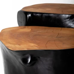 Omnibus Design Nesting Tables<Set of 2 Geminus III Coffee Tables